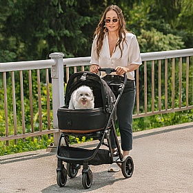 Puppy in a dog stroller