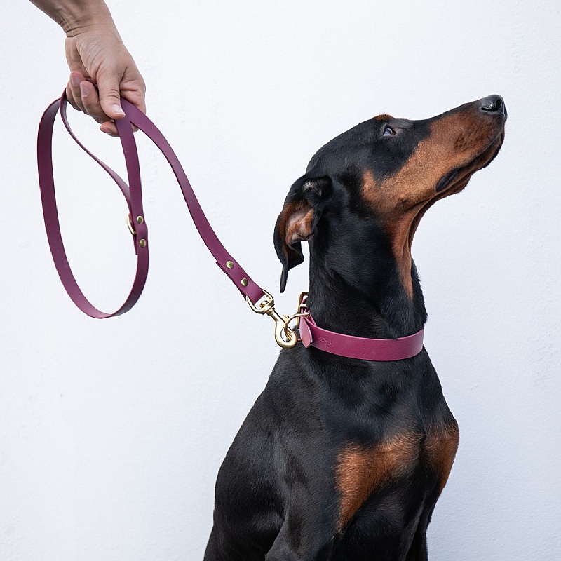 Storeys & Tails All Weather Dog Leads