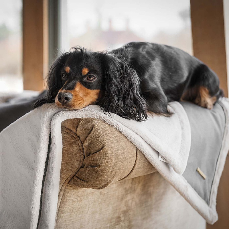 Essentials Twill Dog and Puppy Blankets