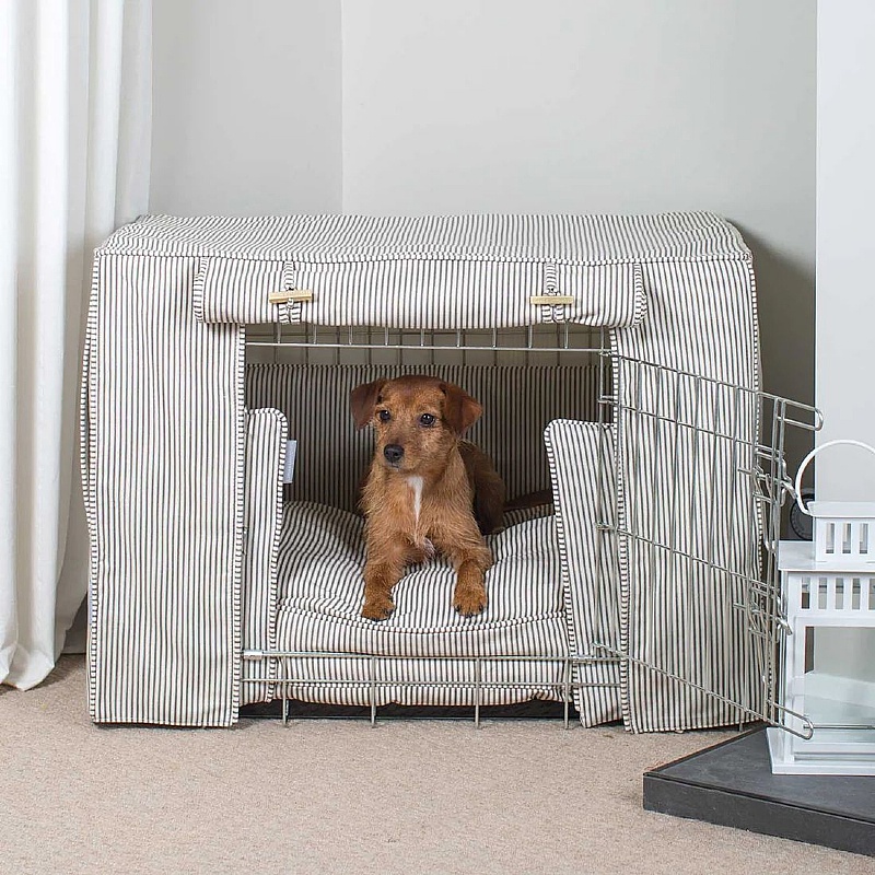 Regency Stripe Dog Crate Set