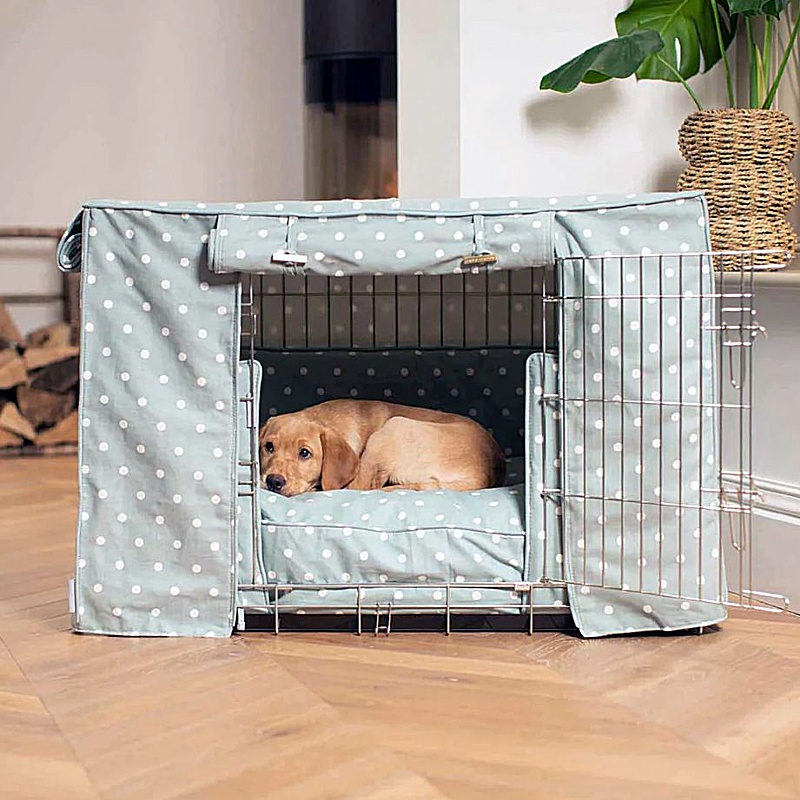 Spotted Dog Crate Set Duck Egg Spot