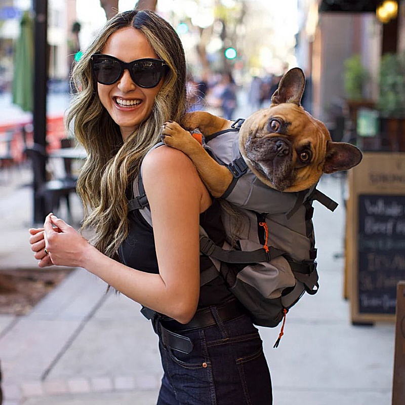 Small dog traveling through the city in a secure pet backpack carrier