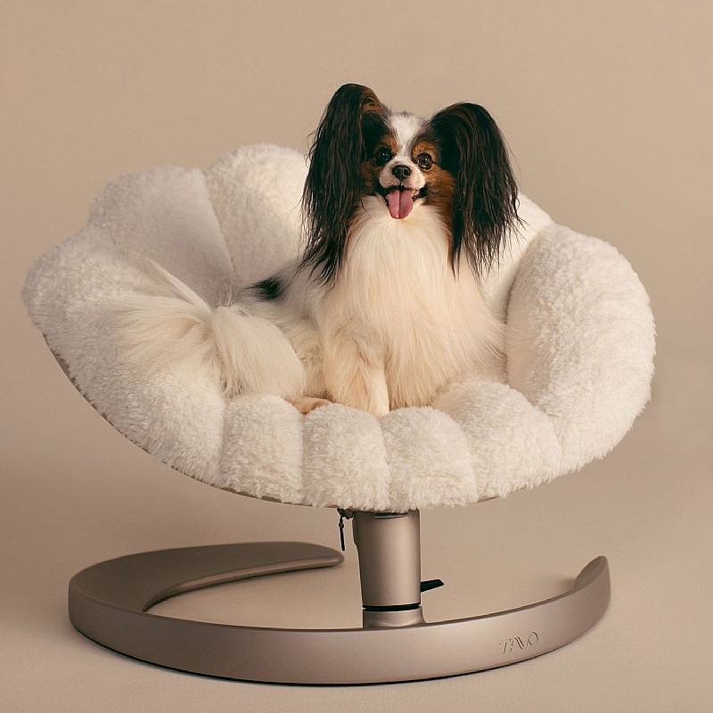 Tavo Shell Swaying Dog Bed Lounger