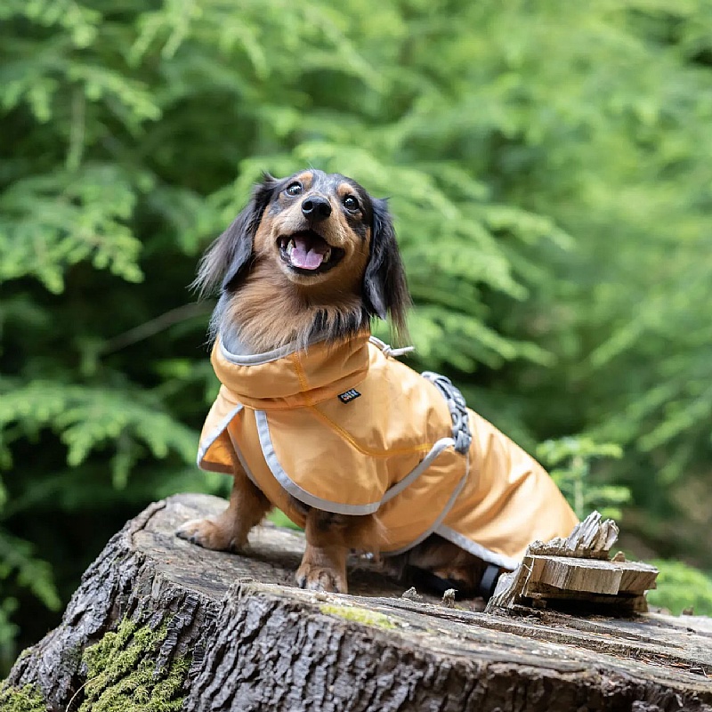 Rukka Crisp Cooling Dog Coat