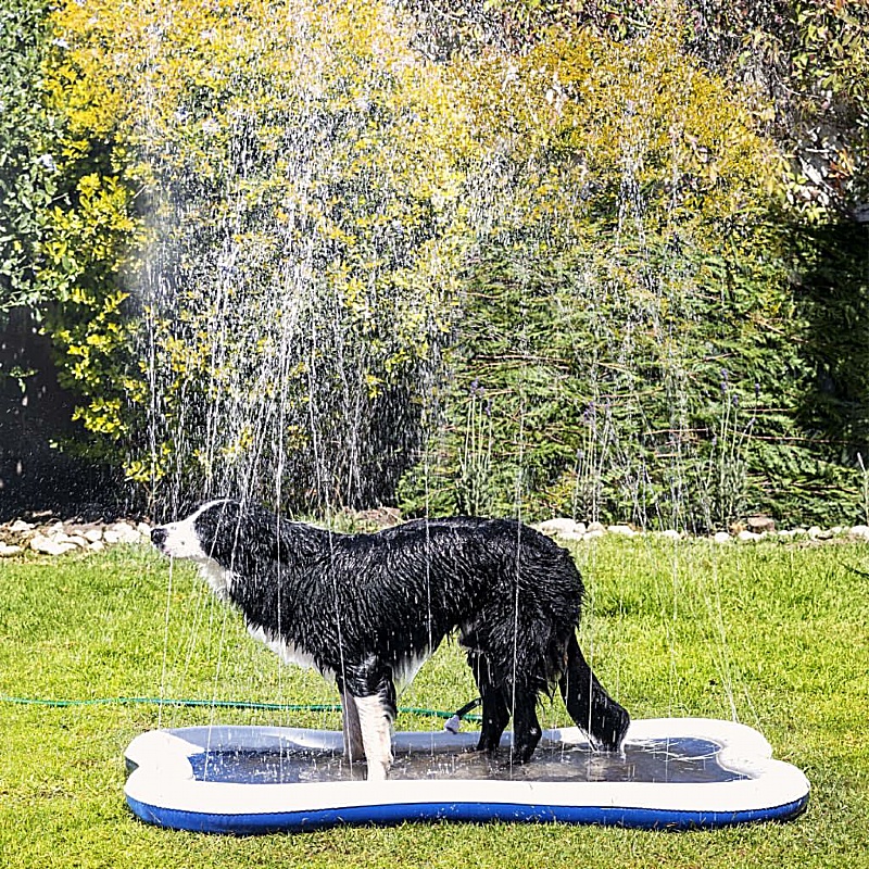 Quapas Splash Sprinkle Dog Mat
