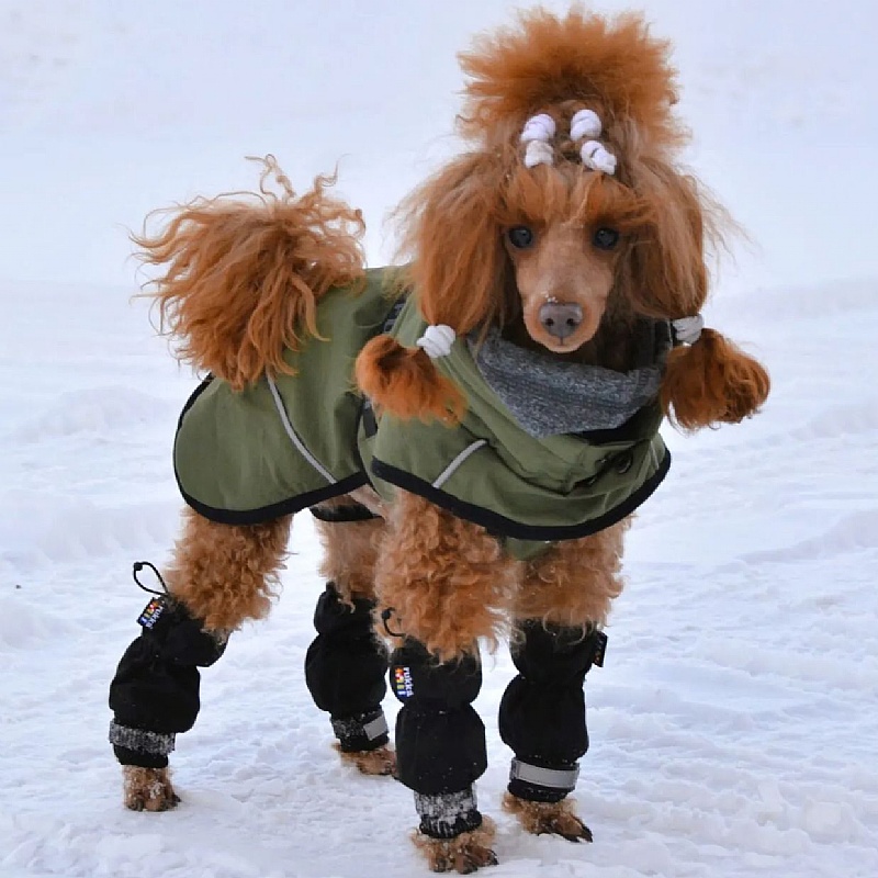 Rukka Waterproof Line Dog Leg Covers