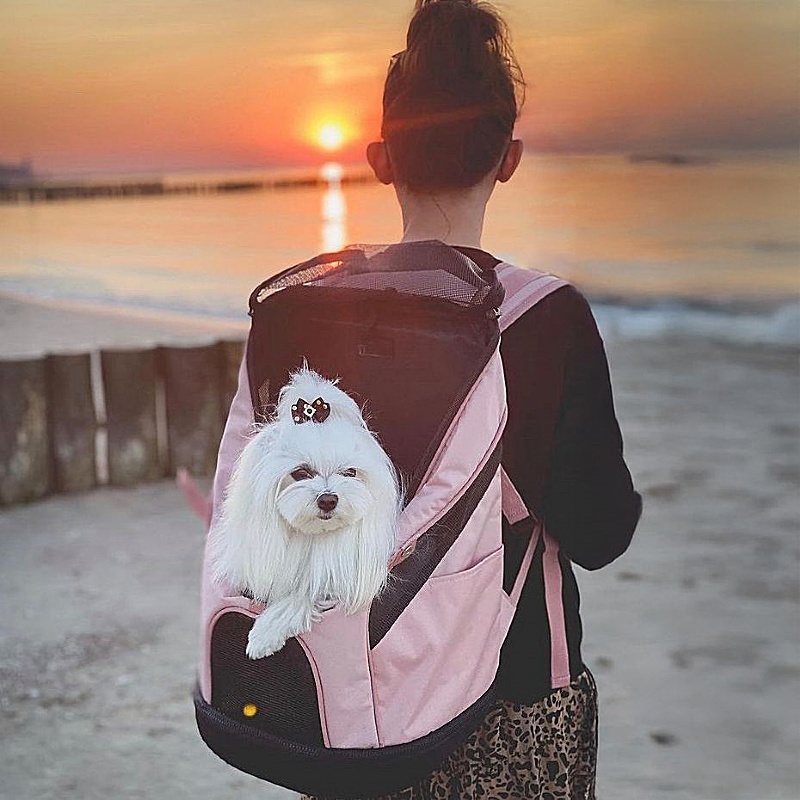 Ultralight Pro Dog Travel Backpack Carrier