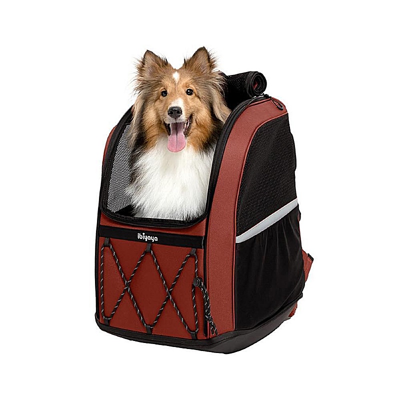 Champion Medium Breed Dog Backpack Carrier