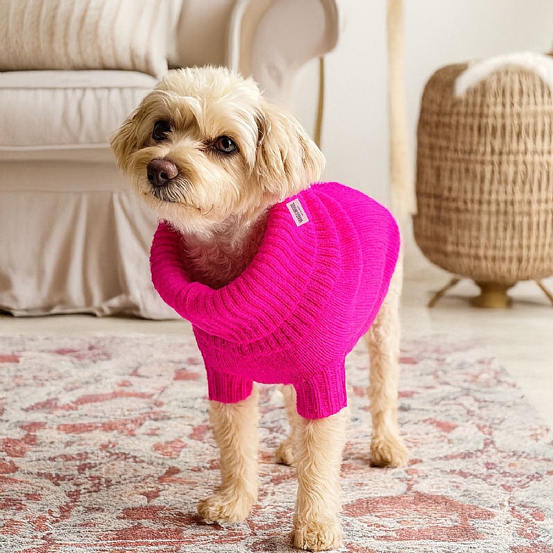 Wag & Wool Fandango Pink British Wool Dog Jumper