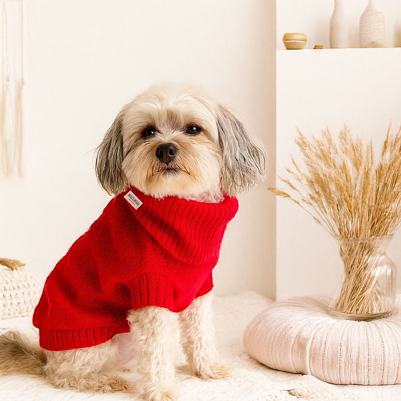 Wag & Wool Cherry Red British Wool Dog Jumper