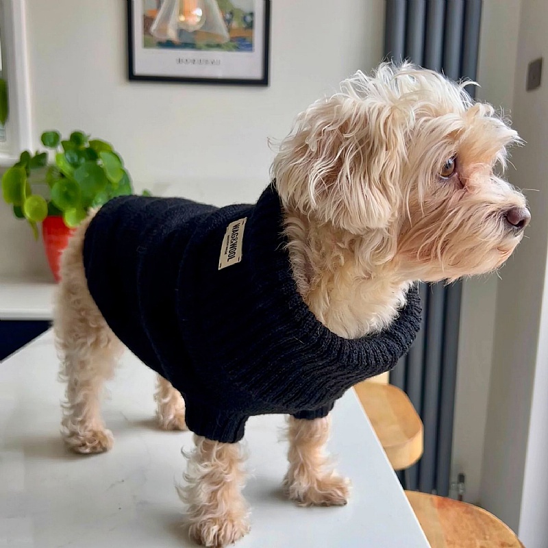 Wag & Wool Black British Wool Dog Jumper