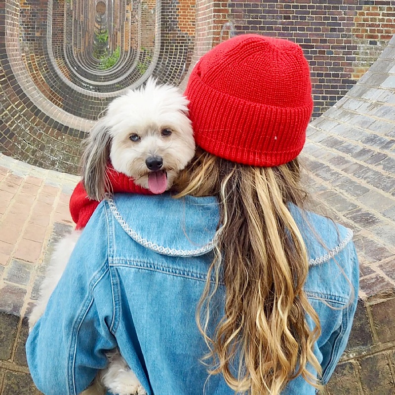 Cherry Red British Wool Dog Jumper and Matching Beanie Hat Set