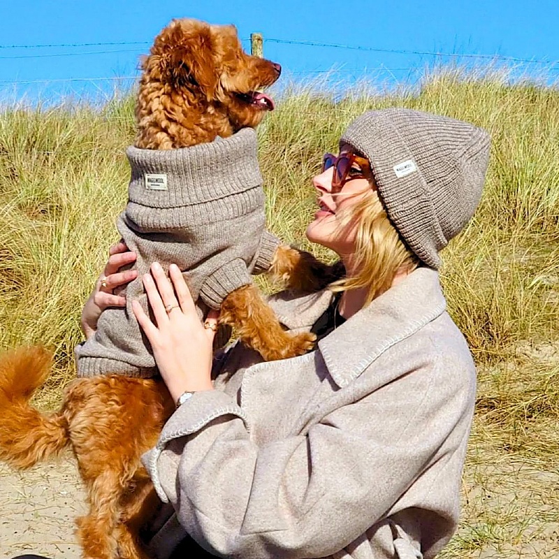 Oatmeal British Wool Dog Jumper and Matching Beanie Hat Set
