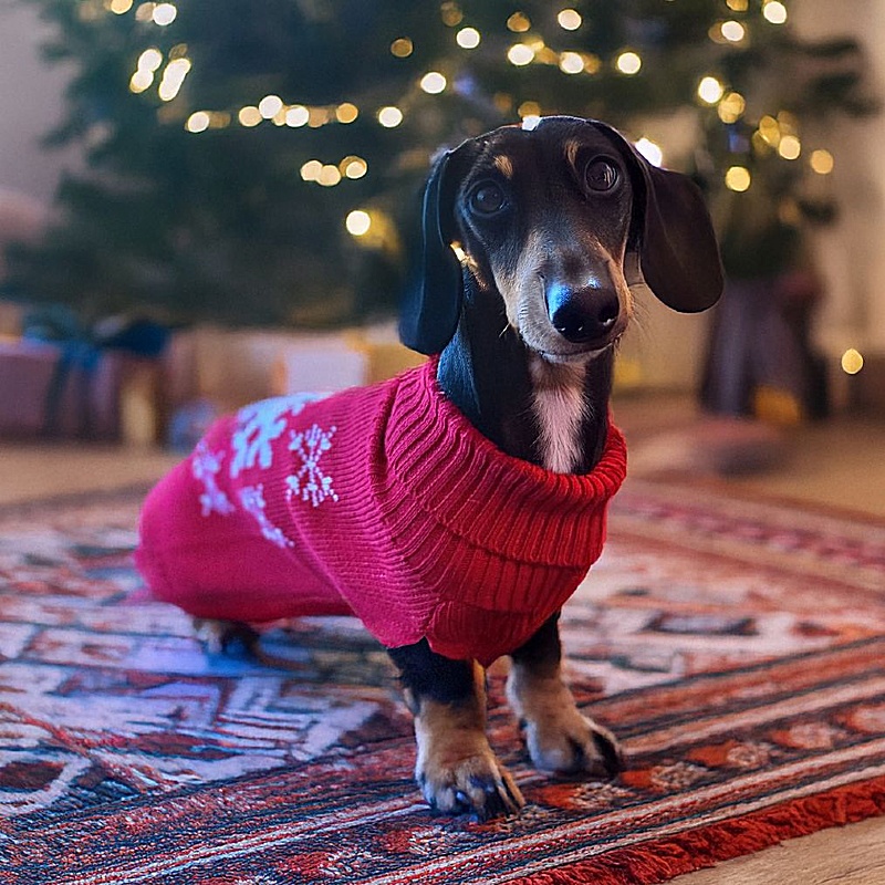 Snowflake Christmas Dog Jumper