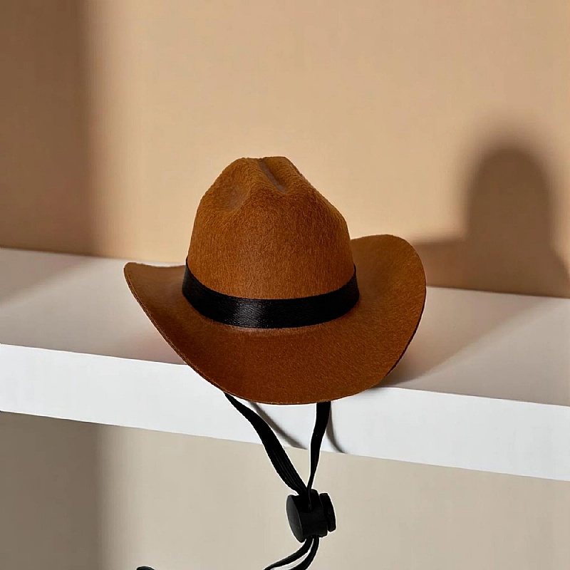 Rodeo Pup Dog Cowboy Hat