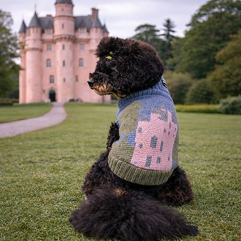 Craigievar Pink Castle British Wool Dog Jumper