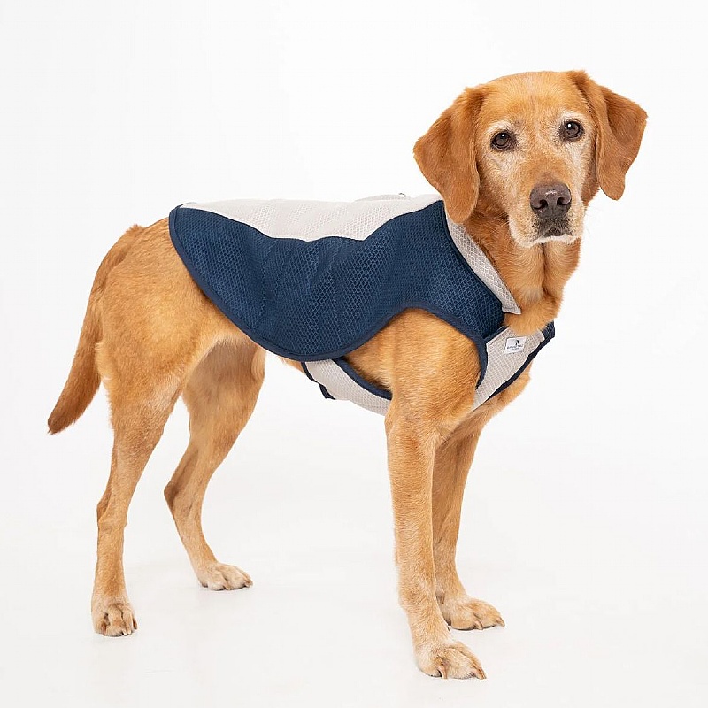 Ruff and Tumble Dog Cooling Coat
