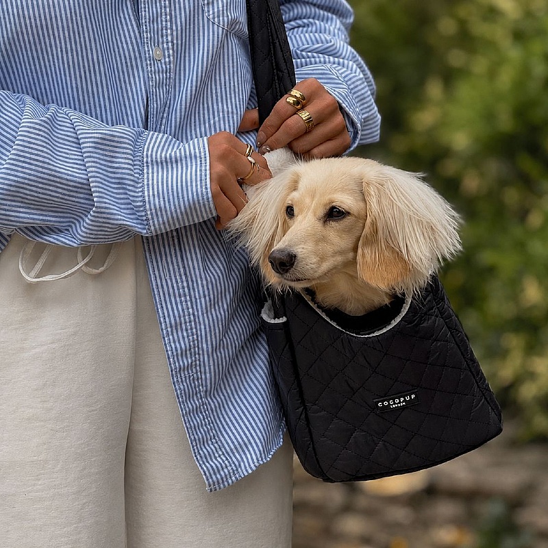 Black Diamond Quilted Small Breed Dog Carrier