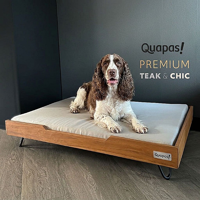 Quapas Premium Teak Padded Dog Beds