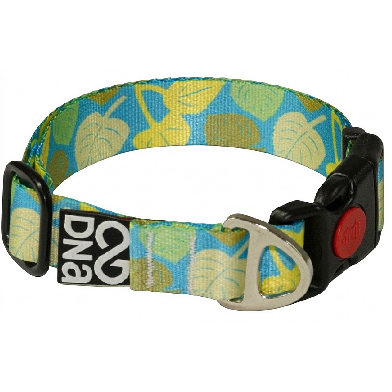 DNA Summit Signature HedgeRow Dog Collars