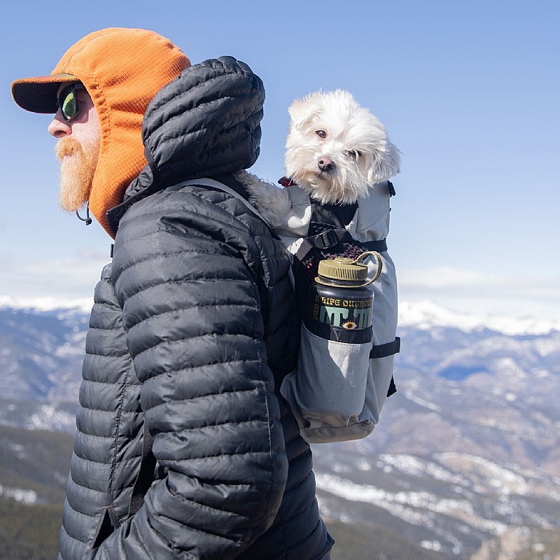 K9 Air 2 Dog Backpack - XS | Toy Dogs and Puppies