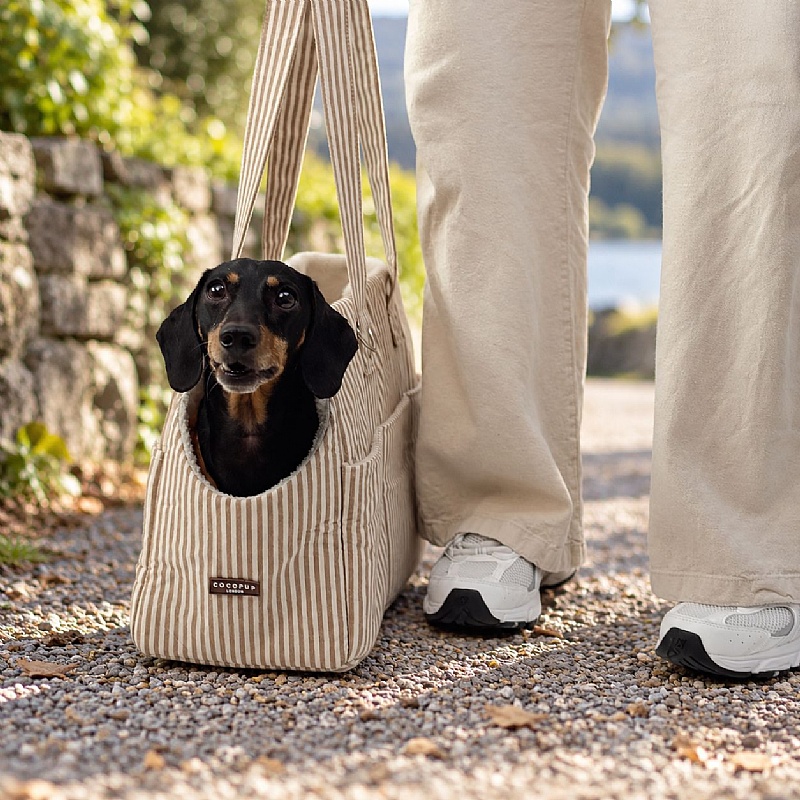 Cocopup London Linen Stripes Small Breed Dog Carrier