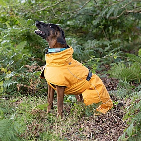 Rukka Stormy Waterproof Dog Coat Yellow