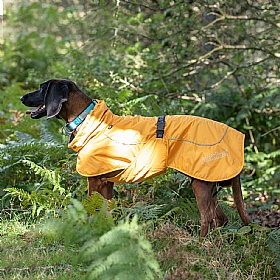 Rukka Stormy Waterproof Dog Coat Yellow