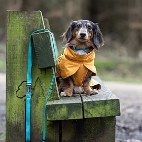 Rukka Stormy Waterproof Dog Coat Yellow