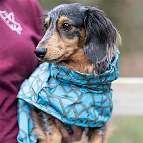 Rukka Hayton Warm Dog Raincoat Turquoise