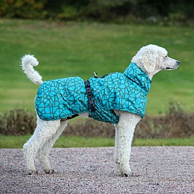Rukka Hayton Warm Dog Raincoat Turquoise