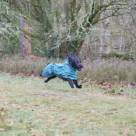 Rukka Hayton Warm Dog Raincoat Turquoise