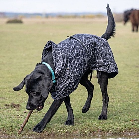 Rukka Hayton Warm Dog Raincoat Black
