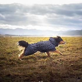 Rukka Hayton Warm Dog Raincoat Black