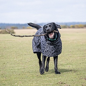Rukka Hayton Warm Dog Raincoat Black