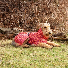 Rukka Hayton Warm Dog Raincoat Carmin