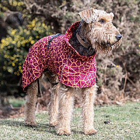 Rukka Hayton Warm Dog Raincoat Carmin