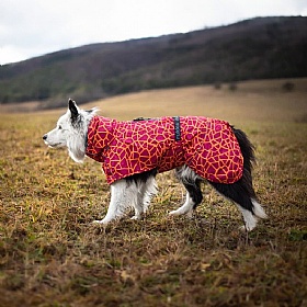 Rukka Hayton Warm Dog Raincoat Carmin
