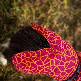 Rukka Hayton Warm Dog Raincoat Carmin