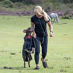 Rukka Hayton Eco Dog Raincoat Black
