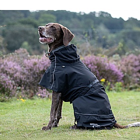 Rukka Hayton Eco Dog Raincoat Black