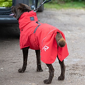 Rukka Hayton Eco Dog Raincoat Red