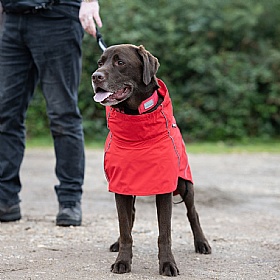 Rukka Hayton Eco Dog Raincoat Red