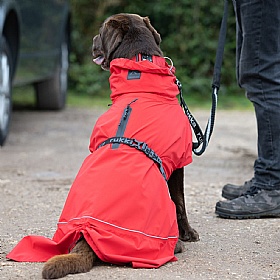Rukka Hayton Eco Dog Raincoat Red