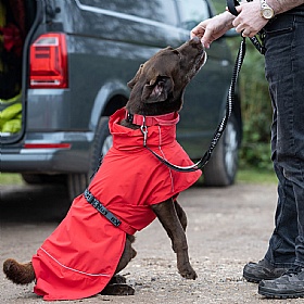 Rukka Hayton Eco Dog Raincoat Red