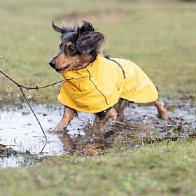 Rukka Hayton Eco Dog Raincoat Yellow