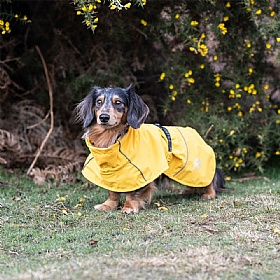 Rukka Hayton Eco Dog Raincoat Yellow