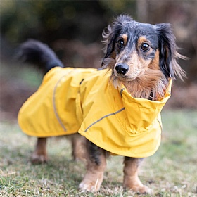 Rukka Hayton Eco Dog Raincoat Yellow