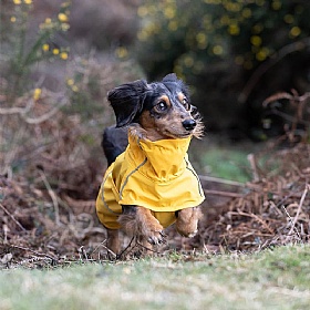 Rukka Hayton Eco Dog Raincoat Yellow