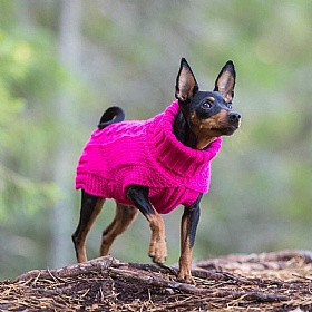Rukka Cable Knit Dog Jumper Pink